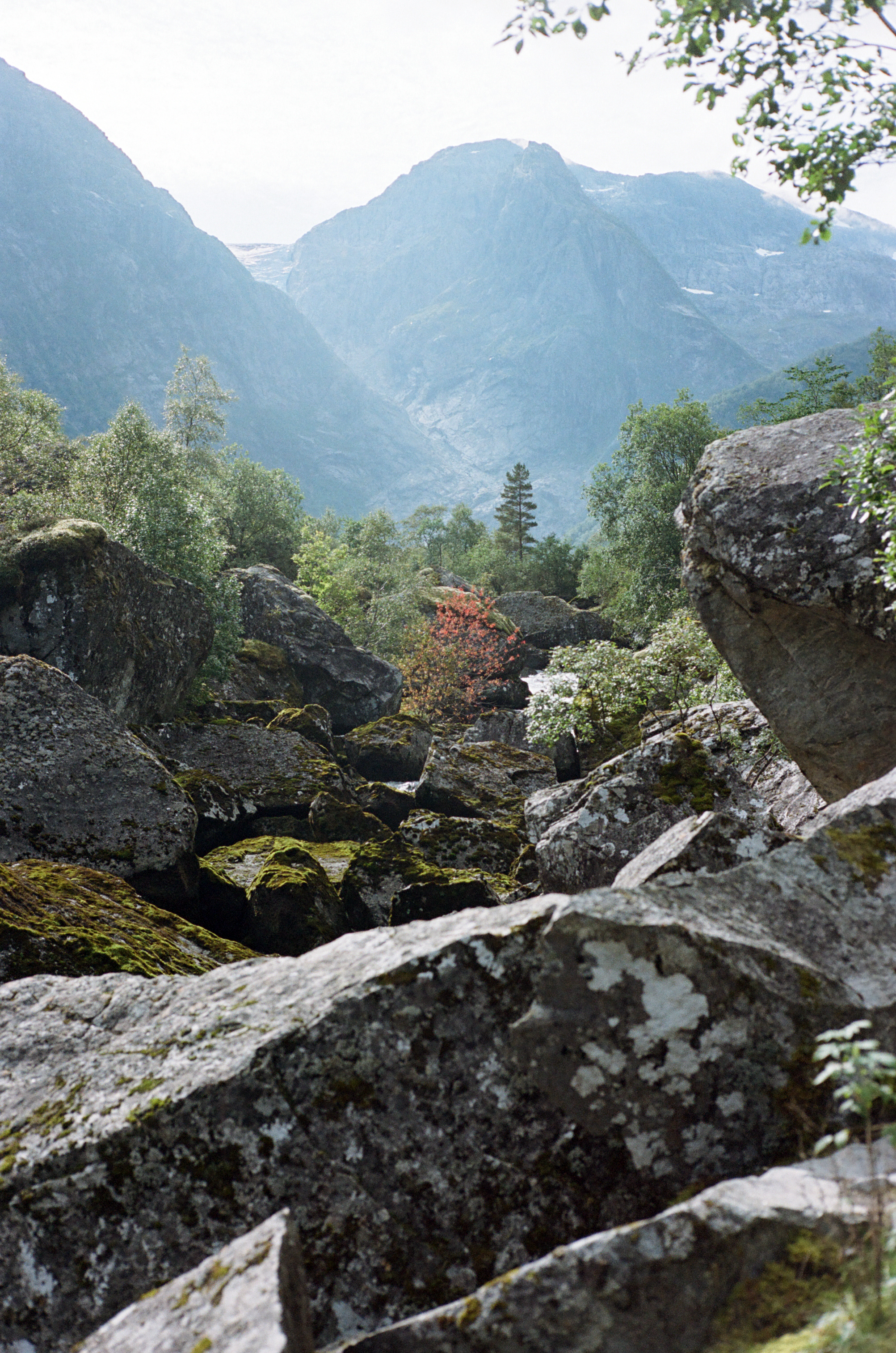 Norway 4