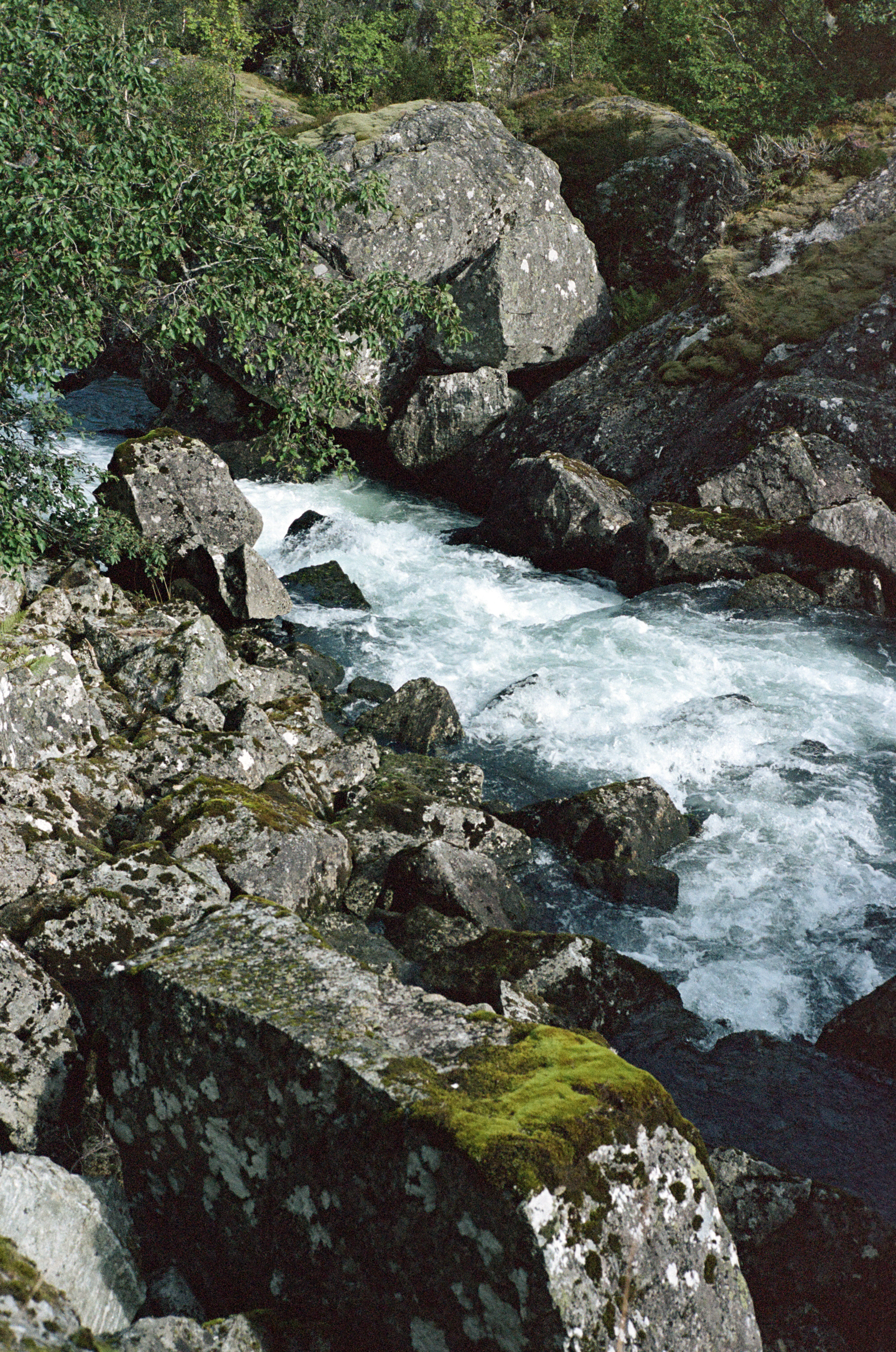 Norway 5